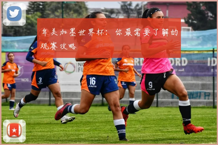 年美加墨世界杯:你最需要了解的观赛攻略